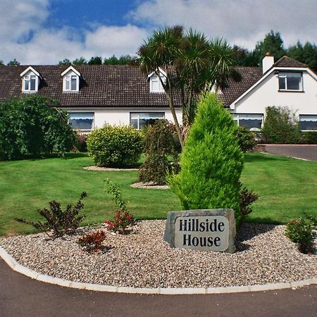 Hillside House Bed & Breakfast Gorey Dış mekan fotoğraf