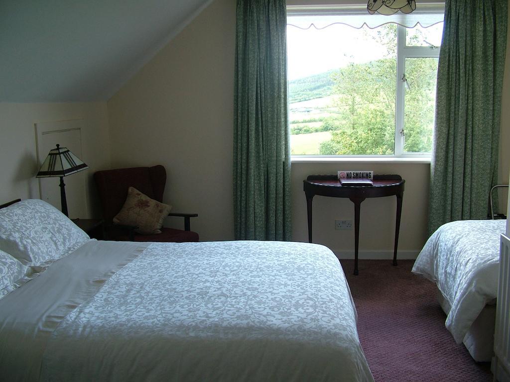 Hillside House Bed & Breakfast Gorey Oda fotoğraf